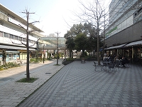 ZbACh